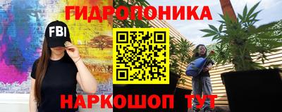 гашик Лесосибирск