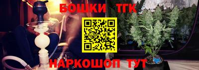 гашик Лесосибирск