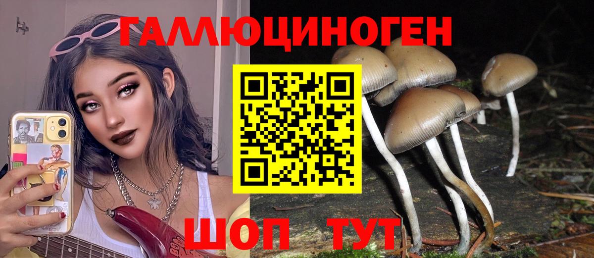 Жигулёвск  Псилоцибиновые грибы ЛСД  Вход с VPN 