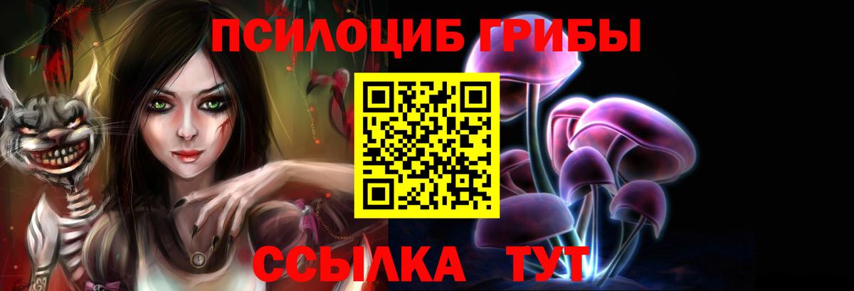 Галлюциногенные грибы Cubensis Жигулёвск